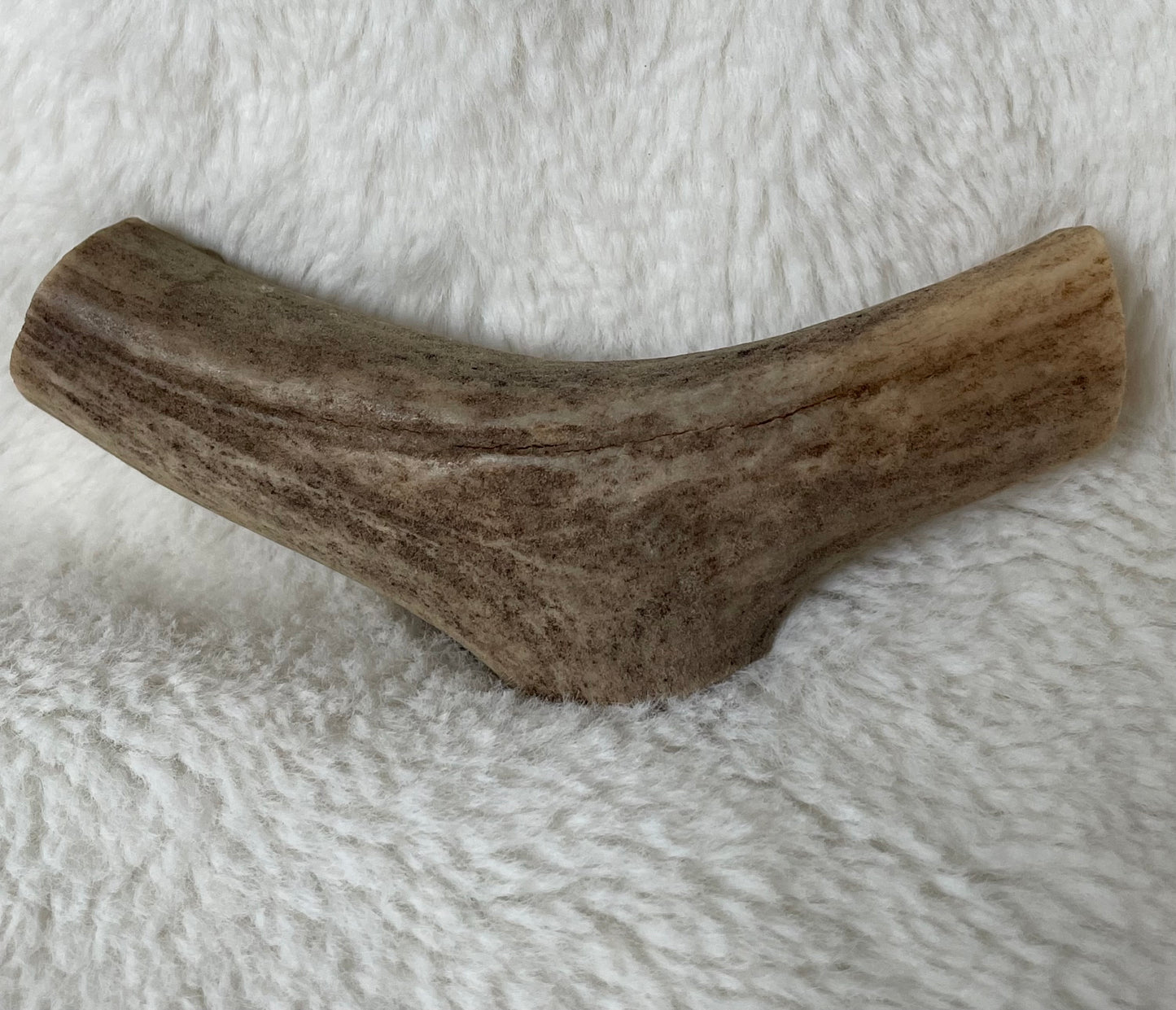 Small Dog Antler Chews